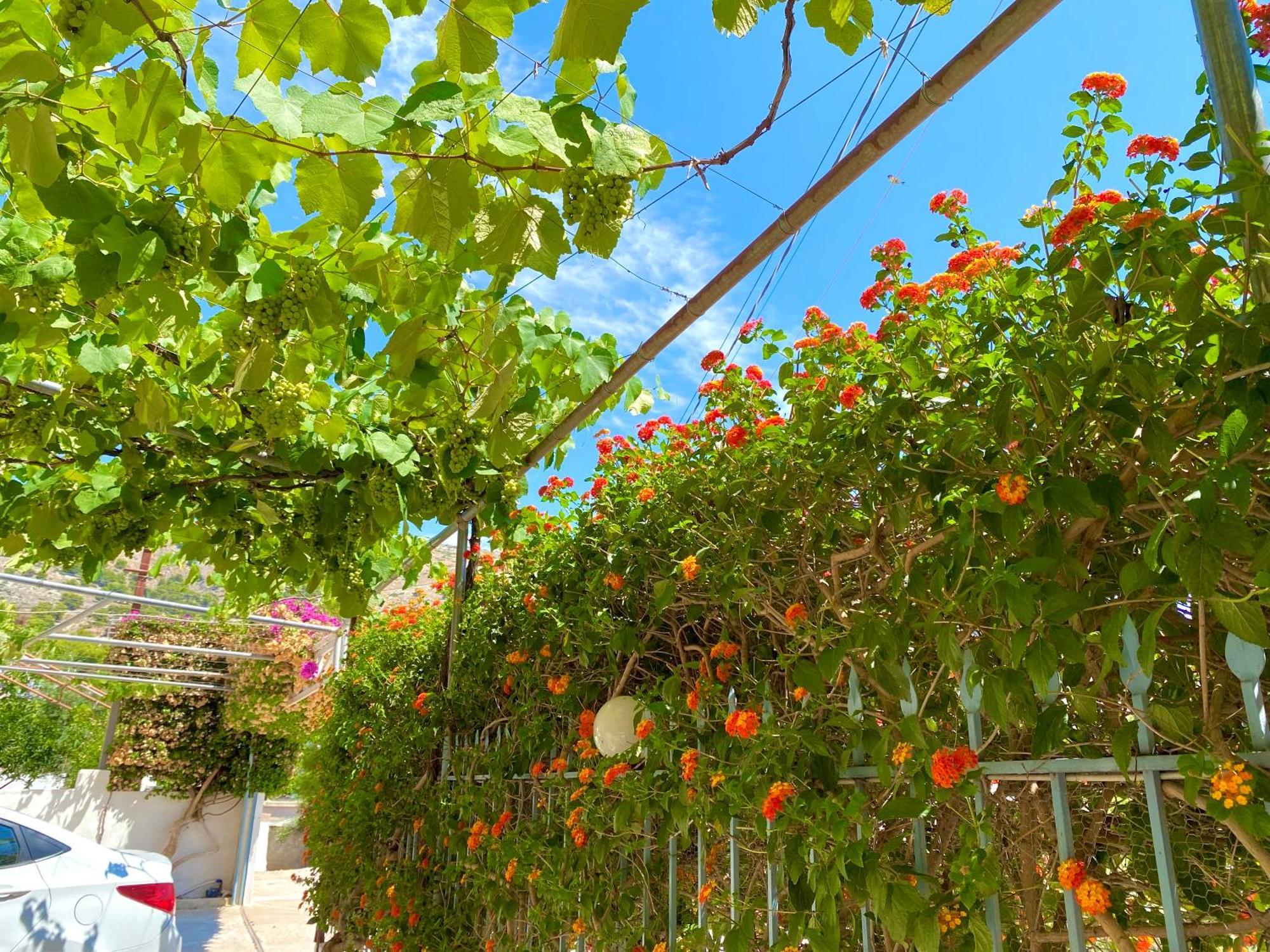 Tomi Apartments Saranda Zewnętrze zdjęcie
